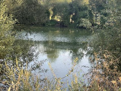 дом по адресу Клепарівська