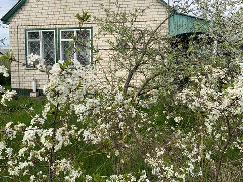 будинок за адресою Чапаївка