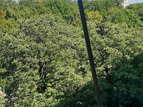 квартира за адресою Новонаводницька вул. (Лаврська), 24