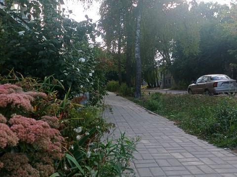 квартира за адресою Вільного козацтва, 17