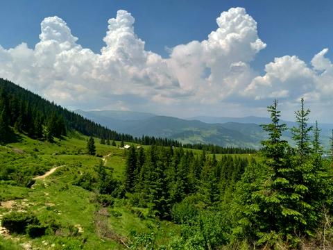 ділянка за адресою смт. Ясіня, 
