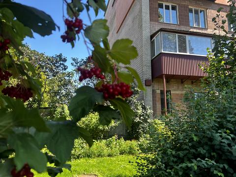 квартира за адресою Гетьмана Мазепи вул., 29
