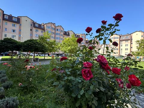квартира по адресу Боголюбова, 5