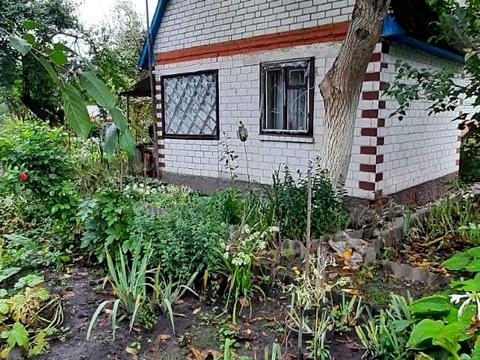 будинок за адресою мира, 55