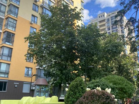 квартира за адресою Анатолія Петрицького вул., 17-А