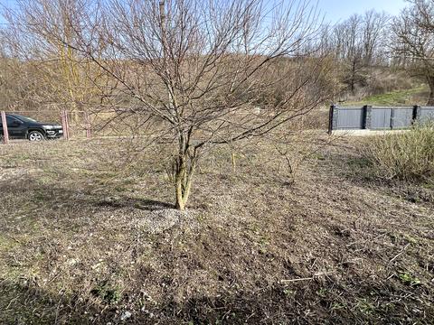 будинок за адресою Сонячна, 22В