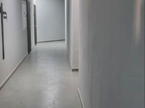 квартира по адресу Дача Ковалевского ул., 91