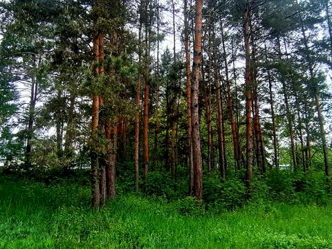 ділянка за адресою Мрія