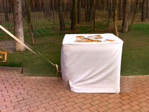 ділянка за адресою с. Проців, Савонівська вул.