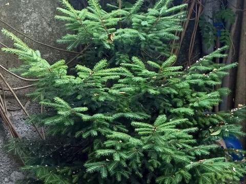 квартира за адресою Богдана Хмельницького вул., 4