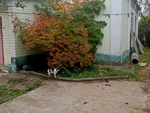 дом по адресу пров. Галушковый, 9