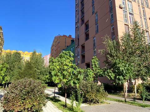 квартира по адресу Регенераторная ул., 4
