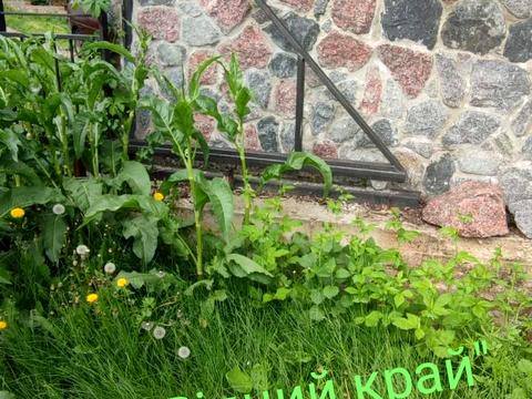 дом по адресу Провулок Михайліченка