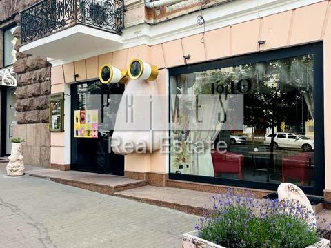 комерційна за адресою Київ, Велика Васильківська вул. (Червоноармійська), 33