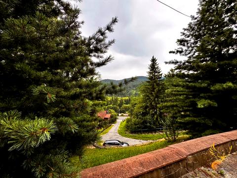 коммерческая по адресу Свободи ул., 331