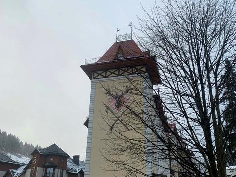 коммерческая по адресу с. Поляница, Карпатська, 200