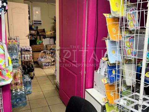 комерційна за адресою Гетьмана Павла Скоропадського вул. (Льва Толстого), 11/61