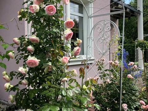 будинок за адресою Чаплинська вул.