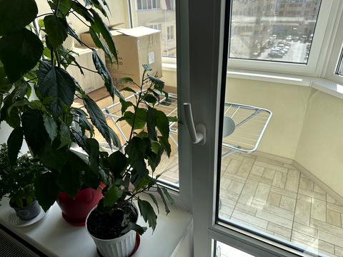 квартира по адресу Бышевская ул., 7