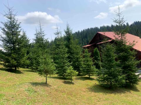 комерційна за адресою Героїв Майдану, 1