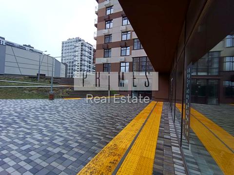 коммерческая по адресу Олександра Олеся ул., 2п