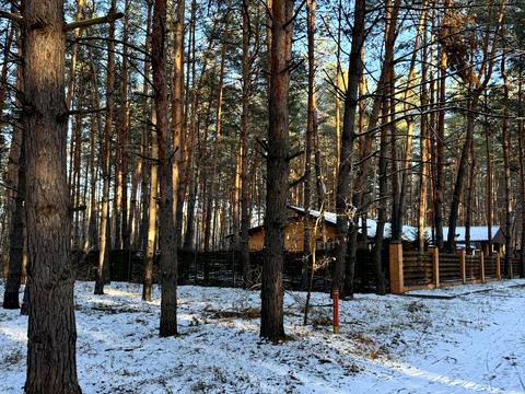 ділянка за адресою Зелена
