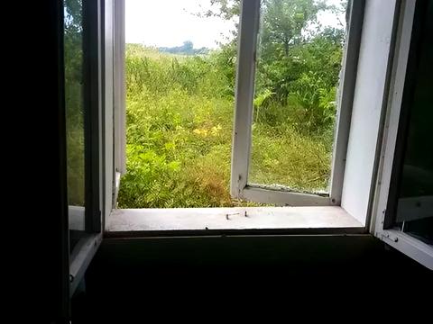 дом по адресу Степана Бандери ул. (руднєва), 48