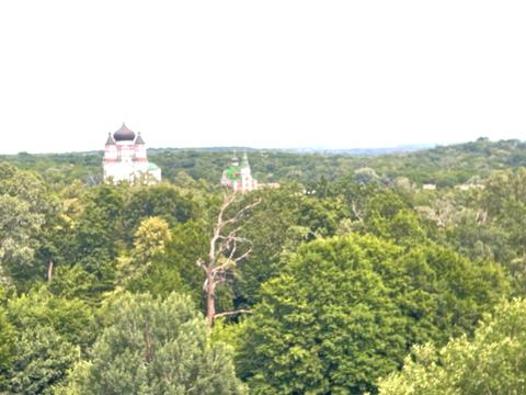 квартира по адресу Метрологическая ул., 107