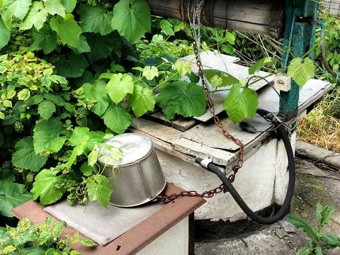 дом по адресу Чарівна
