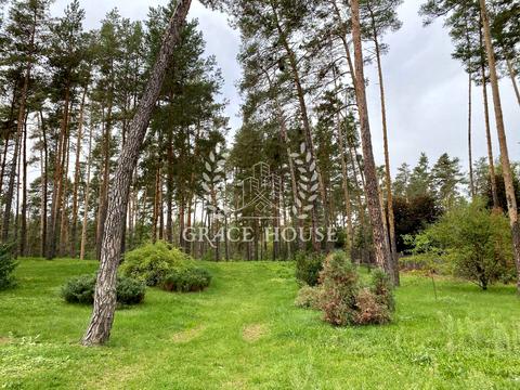 будинок за адресою Плютовська вул.