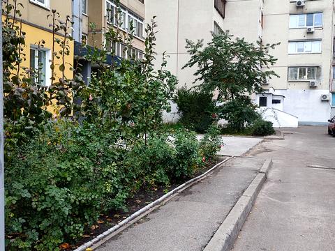 квартира за адресою Ялтинська вул., 15