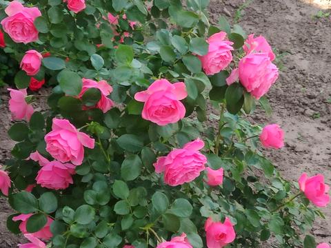 будинок за адресою Приозерна вул.