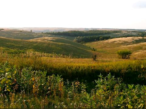 ділянка за адресою с. Щербанівка, Шевчека