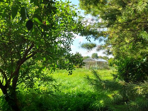 дом по адресу Барское шоссе