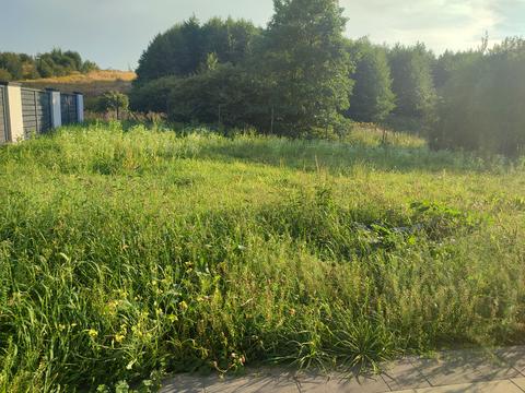 дом по адресу Ивана Нечуя-Левицкого ул.