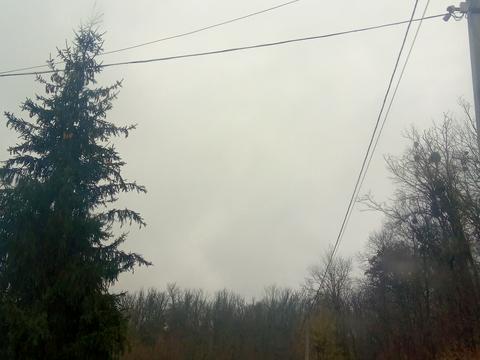 ділянка за адресою Капустяна