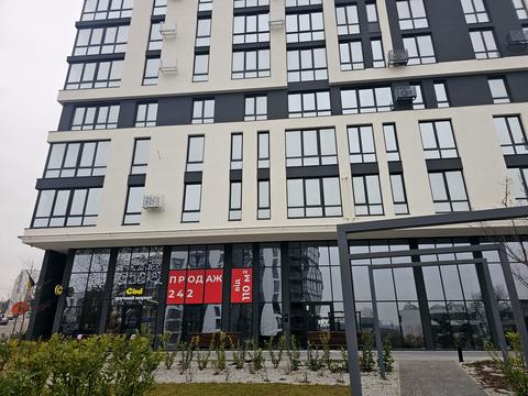 комерційна за адресою Малоголосківська вул., 12г