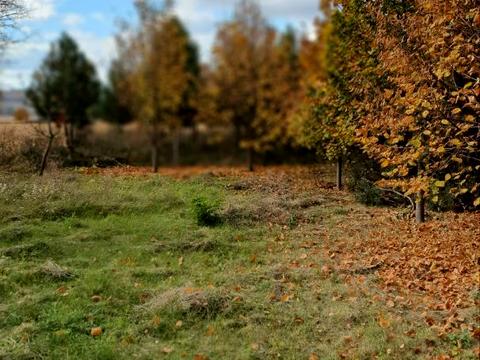 комерційна за адресою Чапаєва, 47