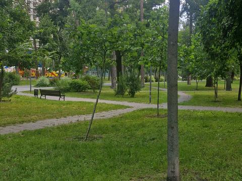 квартира по адресу Михаила Котельникова ул., 35