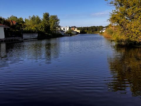 будинок за адресою с. Плюти, Абрикосова, 9