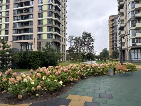 квартира за адресою Соборна вул., 23