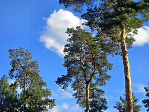 дом по адресу Олени Теліги ул. (Лермонтова)