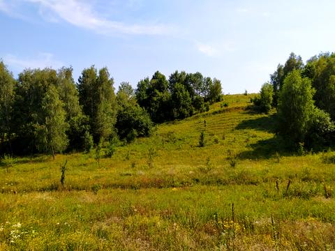 ділянка за адресою Садовая, 8
