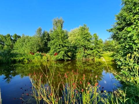 участок по адресу Шевченка