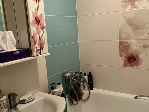 квартира по адресу Железняка ул., 22