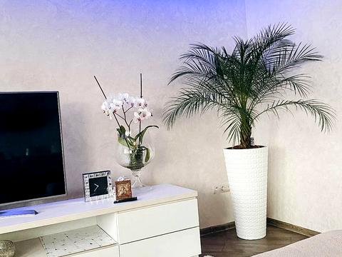 квартира за адресою Шандора Петефі пл., 13
