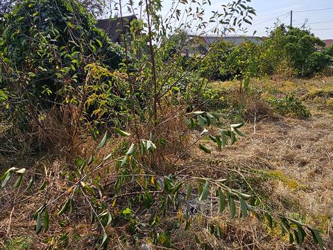 дом по адресу Саенко ул., 44