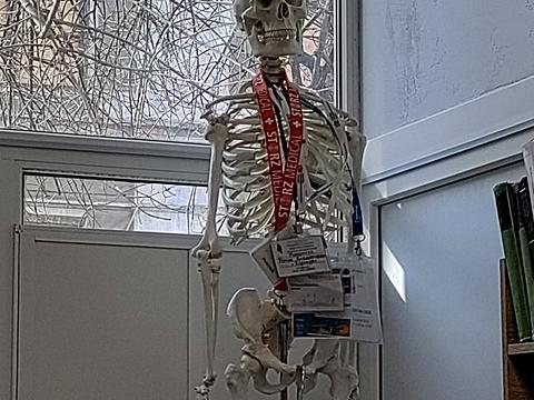 квартира по адресу Красные Ряды ул., 14