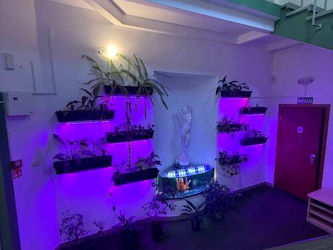 коммерческая по адресу Смелых ул., 5