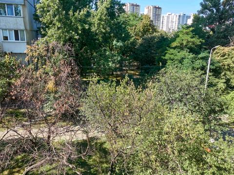 квартира по адресу Пантелеймона Кулиша ул. (Челябинская), 17